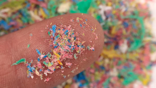 microplastic-nanoplastic-fingertip.webp.webp