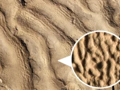 Incríveis rochas de “pele de elefante” revelam vida antiga no oceano escuro