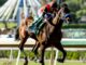 So Happy mostrou seu potencial com vitória no Santa Anita Derby