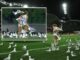 Imagem em destaque na divisão australiana: bando de gaivotas assedia jogador de futebol