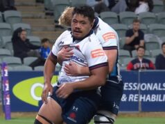 O vendedor ambulante de Waratahs pegou uma força adormecida