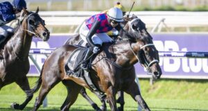Twin Angels enfrentam o julgamento de Ascot de maneira apertada, perdendo para outros vencedores de eventos especiais