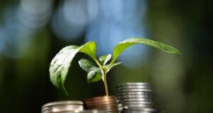 RUTH SUNDERLAND: Investir em ações pode ajudar na crise de produtividade