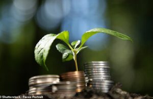 RUTH SUNDERLAND: Investir em ações pode ajudar na crise de produtividade