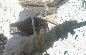 San Candido, bombeiros intervieram para exame no centro – Pusteria Gardena Badia