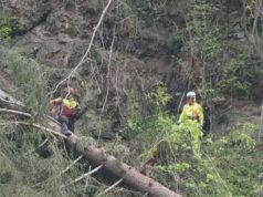 Quedas e pedras, trabalhos realizados na proteção da floresta Val Badia – Pusteria Gardena Badia