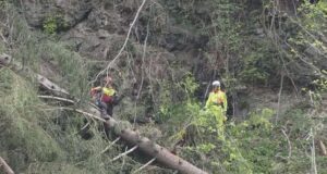 Quedas e pedras, trabalhos realizados na proteção da floresta Val Badia – Pusteria Gardena Badia