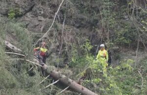 Quedas e pedras, trabalhos realizados na proteção da floresta Val Badia – Pusteria Gardena Badia