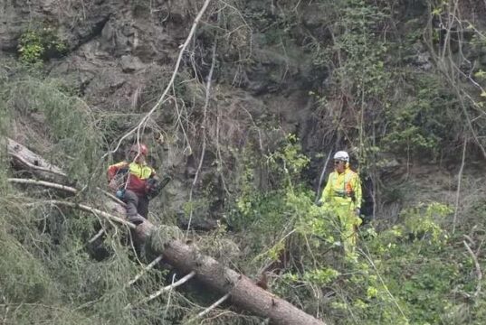 Quedas e pedras, trabalhos realizados na proteção da floresta Val Badia – Pusteria Gardena Badia