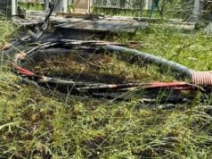 Rio di Pusteria, redes contra incêndio perto da força da grama: evitou a propagação das chamas – Notícias