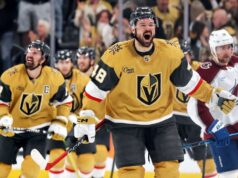 Tendências dos playoffs da Stanley Cup: Por que as abelhas estão …