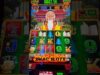 Drago Bet Casino: Visão Geral e Opções