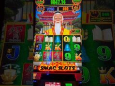Drago Bet Casino: Visão Geral e Opções