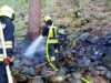 Incêndio na floresta acima de Ridanna: 70 equipes de resgate em ação – Bressanone