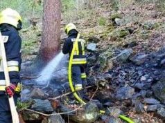 Incêndio na floresta acima de Ridanna: 70 equipes de resgate em ação – Bressanone