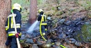 Incêndio na floresta acima de Ridanna: 70 equipes de resgate em ação – Bressanone