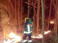 Fogo na floresta em Prato allo Stelvio, sete lutadores em batalha – Venosta