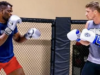 Canelo Alvarez e Francis Ngannou reagem à polêmica vitória de Usyk sobre Verhoeven