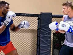 Canelo Alvarez e Francis Ngannou reagem à polêmica vitória de Usyk sobre Verhoeven