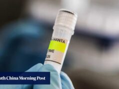 Chance ‘quase zero’ de holandês contrair hantavírus em Ushuaia, na Argentina, diz autoridade