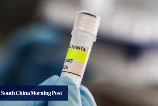 Chance ‘quase zero’ de holandês contrair hantavírus em Ushuaia, na Argentina, diz autoridade