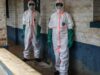 Três voluntários da Cruz Vermelha são considerados mortos devido ao Ébola na República Democrática do Congo
