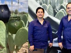 Empreendedores mexicanos criam couro de cacto para moda sustentável
