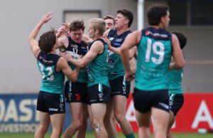 O meio-campista do Fremantle Dockers, Nathan O’Driscoll, é carregado por companheiros de equipe após marcar um gol para o Thunder