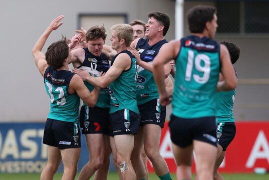 O meio-campista do Fremantle Dockers, Nathan O’Driscoll, é carregado por companheiros de equipe após marcar um gol para o Thunder