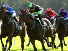 Dicas e insights sobre a corrida de quinta-feira em Gosford
