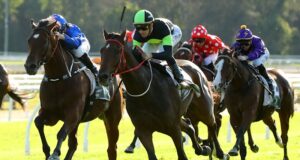 Dicas e insights sobre a corrida de quinta-feira em Gosford