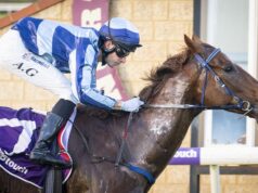 Hossa Chino busca fortemente a glória do Grupo 3 no Belmont Sprint