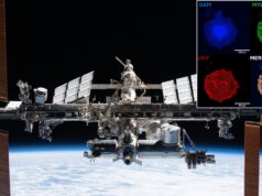 As viagens espaciais são difíceis para o coração, mas os artificiais crescem melhor no espaço do que na Terra