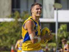 Mitchell Woodcock: Por que os West Coast Eagles escolheram Harvey Johnston à frente de Tom Gross para o confronto do Melbourne Demons