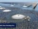 Do mar à vista: pesquisas chinesas sugerem que vírus transmitidos pela água podem infectar os olhos humanos.