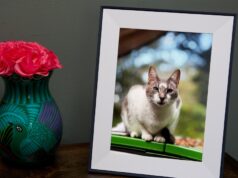 Ganhe $ 30 de desconto no Dia das Mães em molduras digitais Aspen na Aura