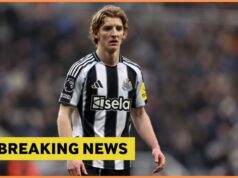 Newcastle United envolvido em negociações com o Bayern para vender Gordon