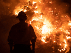 Atualização sobre incêndios florestais na Califórnia: onde fica cada incêndio enquanto milhares de pessoas evacuam