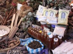Como o ‘farmacêutico algorítmico’ da Nigéria incentiva tratamentos fitoterápicos arriscados | Notícias de saúde