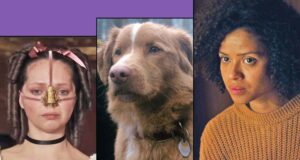 Os 19 melhores filmes de todos os gêneros no AMC +