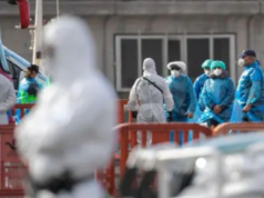 Um hospital holandês coloca 12 funcionários em quarentena devido à exposição ao vírus Hanta