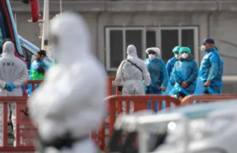 Um hospital holandês coloca 12 funcionários em quarentena devido à exposição ao vírus Hanta