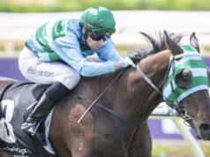 Butelezzi, de propriedade da WA, está pronto para disparar no Grupo 1 Queensland Derby de sábado