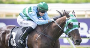 Butelezzi, de propriedade da WA, está pronto para disparar no Grupo 1 Queensland Derby de sábado