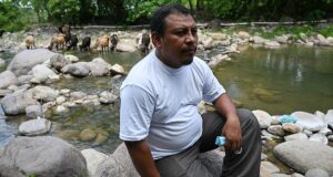 Prefeito de Honduras é preso por assassinar ambientalista | Notícias sobre crimes