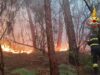 3.000 incêndios florestais são extintos antes de serem contidos
