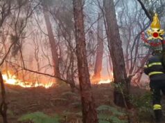 3.000 incêndios florestais são extintos antes de serem contidos
