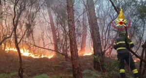 3.000 incêndios florestais são extintos antes de serem contidos