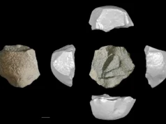 Os povos da Idade do Gelo na China criaram ferramentas de pedra incrivelmente avançadas há 146.000 anos