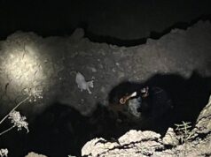 O cabritinho reencontra sua mãe. Depois de cair em uma pedreira em Oregon
